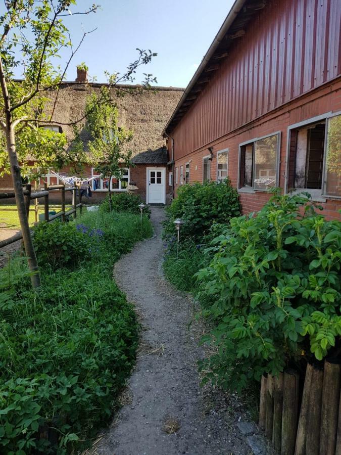 Ferienwohnung Lindenhof Tinningstedt Exterior foto